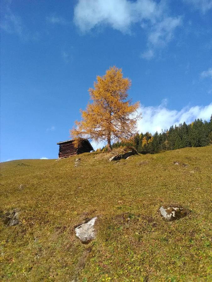 Ferienwohnung Felix-Adults Only Neustift im Stubaital Bagian luar foto